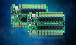 ����T��2024�Ქ�̄��ҕ����