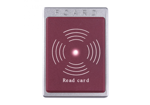 �t���T��