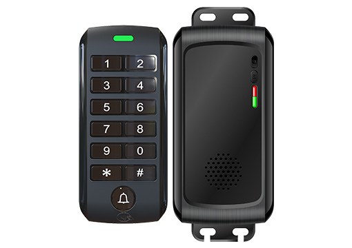 �o���T���C