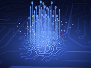 2024�Ქ�̄��ҕ������x���m����������Ę�T��һ�w�C�L�͹���